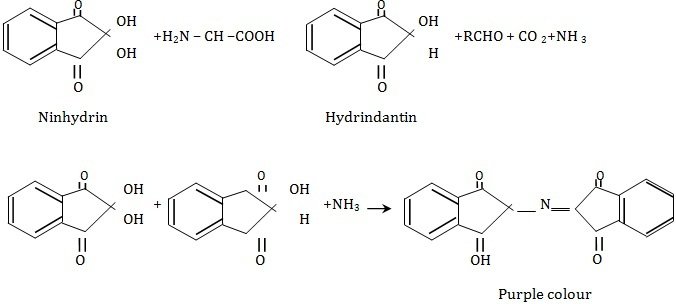 Ninhydrin Reaction